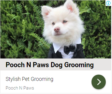 PoochNPaws Grooming