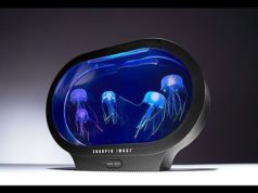 Fantasy Jellyfish Aquarium