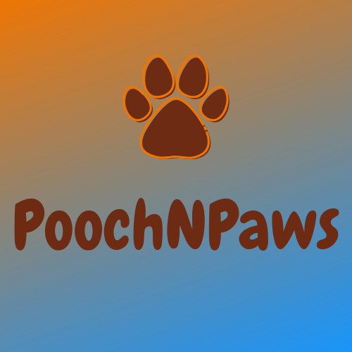 Pooch N Paws