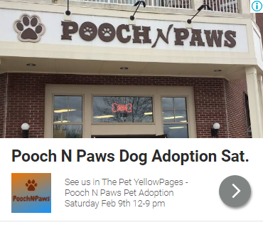 Pooch N Paws Adopt a Pet
